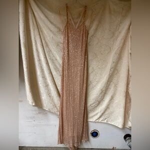 NWT Parker Black Sequence Gown with train in Blush